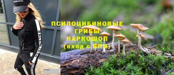 мдпв Карталы